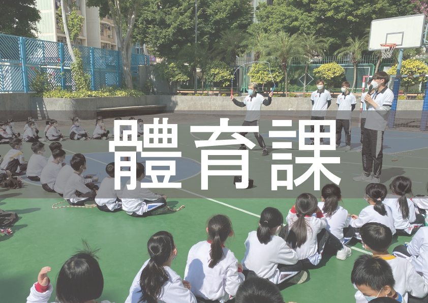 我們提供花式跳繩體育課